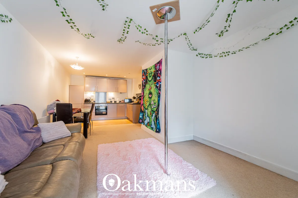 Open-plan living room with leather sofa, pink rug, and kitchen area visible. Ceiling decorated with trailing ivy plants.